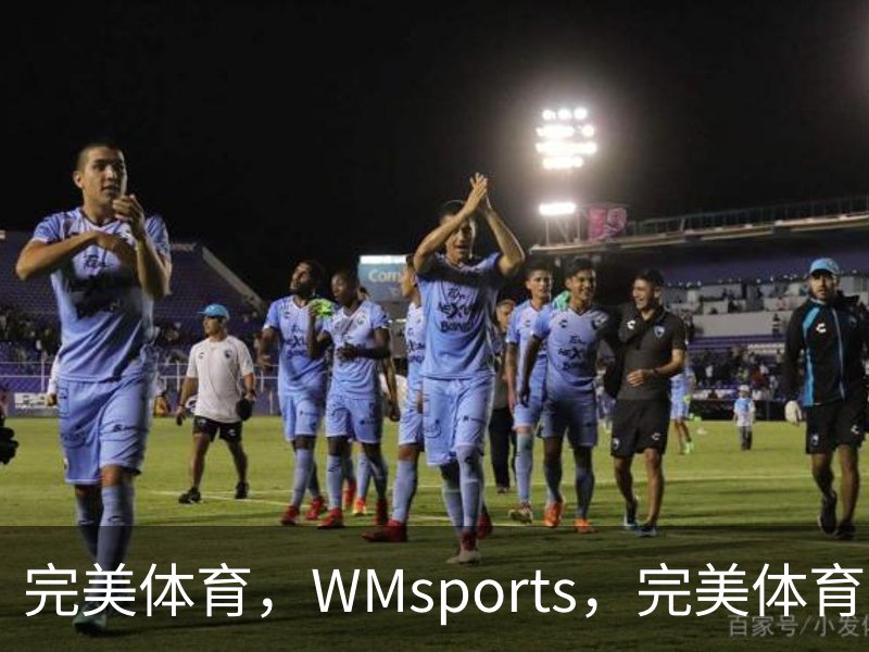 完美体育，WMsports，完美体育官方，完美体育平台，完美体育下载概况